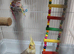 Happy cockatiel