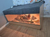 Corn snake and vivarium for sale
