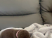 Kc reg Labrador puppy’s for sale Solihull