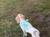 Spaniel pup for sale
