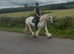 Family pony