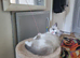 Ragdoll Kitten