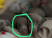 1 little Boy still looking for they&rsquo;re forever home!