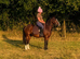 10 year old 13hh happy hacker/kids pony