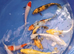koi carp from &pound;5 each to &pound;26 each