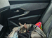 Sad rehoming