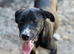 MAYA – The Little Heart Waiting to Feel Safe