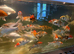 Koi carp