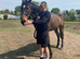 !16.1 HACK/DRESSAGE/ALLROUNDER!