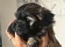 Shih-poo