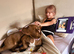 Dogue de Bordeaux cross