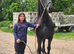 KFPS Friesian mare