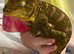 Make leachie