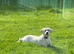 8 months old girl