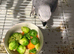 Molly parrot