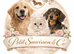 Luxury Pet Services and Grooming