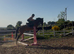 15.2h 12yr old allrounder
