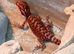 Red monster bearded dragon