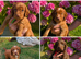 Working cocker spaniel puppies