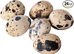 Fertile Jumbo Quail eggs