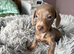 1 female available
