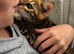 1 boy Bengal kitten