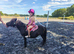 Lovely gelding Shetland