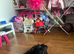 8 month old female puppy