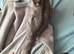 Pair of sugar gliders (ad 2)