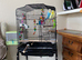 Budgies and cage for sale