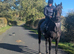 Lovely mare
