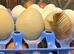Green Egg Layers