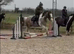 Looking for a loan horse near Brackley