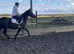 Friesianxarab