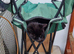 Old female cat.