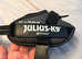 Julius K9 dog harness