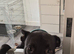 Our Boy Blue!