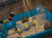 Robo hamster