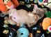 1 male frenchie puppy left