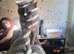 British Shorthair Female Fixed Sappho.
