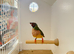 Gouldian Finch Pairs For Sale