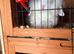 2 male rabbits