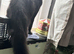 We have a beautiful black Maine coon 5 months old