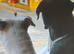 Rotticorso X with an American bulldog