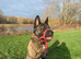 Rehoming Akira - ASAP as in our new home she needs more space