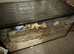 2 female Syrians hamsters with setup