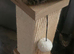 3 kittens