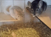Good home needed for 3 young male chinchillas, plus large Critter Nation cage. Bargain at &pound;250.