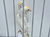 BEAUTIFUL PROVEN PAIR REDPOLLS MUTATION COLORS
