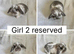 6 beautiful baby mini lops ready to reserve